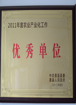 荣誉证书