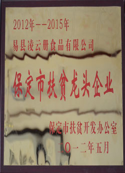 荣誉证书