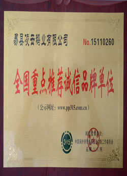 荣誉证书