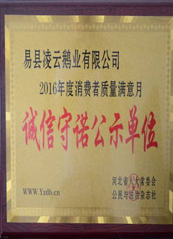 荣誉证书