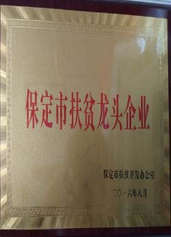 省市扶贫龙头