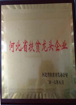 省市扶贫龙头
